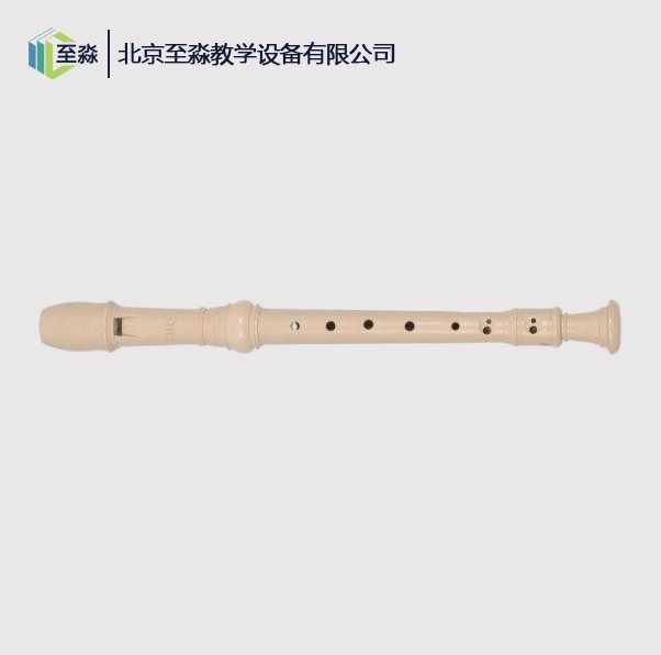 竖笛（8孔塑料）