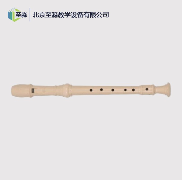 竖笛（塑料）