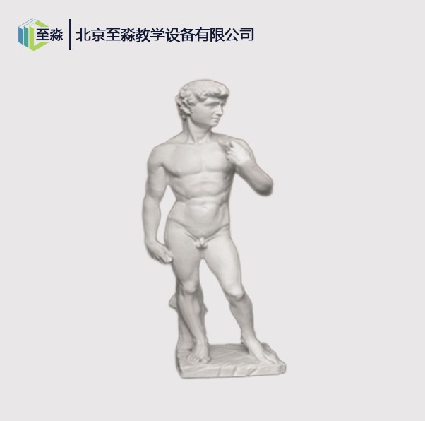 大卫