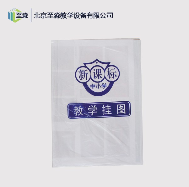 美术教学挂图