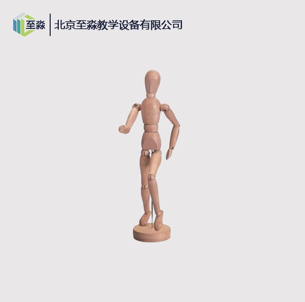 人体活动结构模型