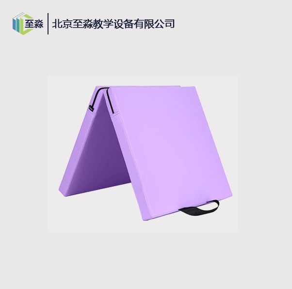 舞蹈垫