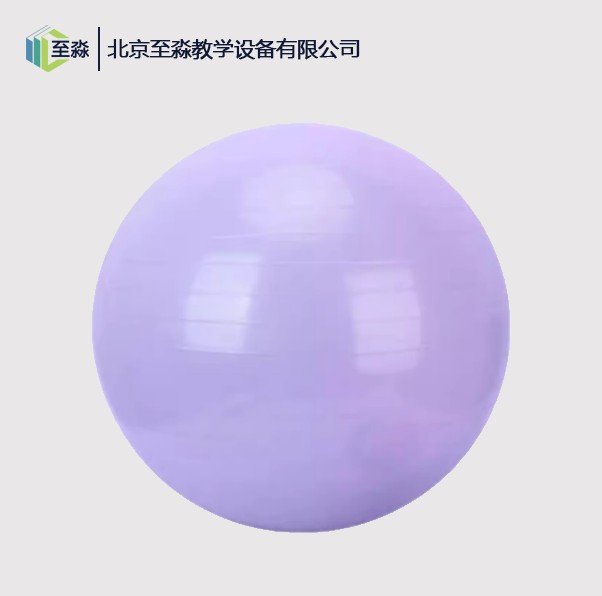 瑜伽球