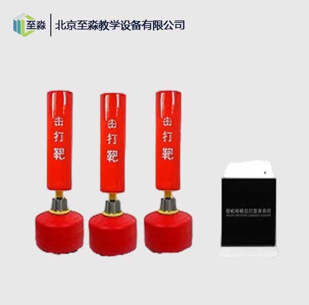 智能击打宣泄系统（团体版）