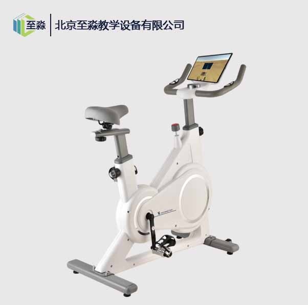 心理运动减压系统（标准型）